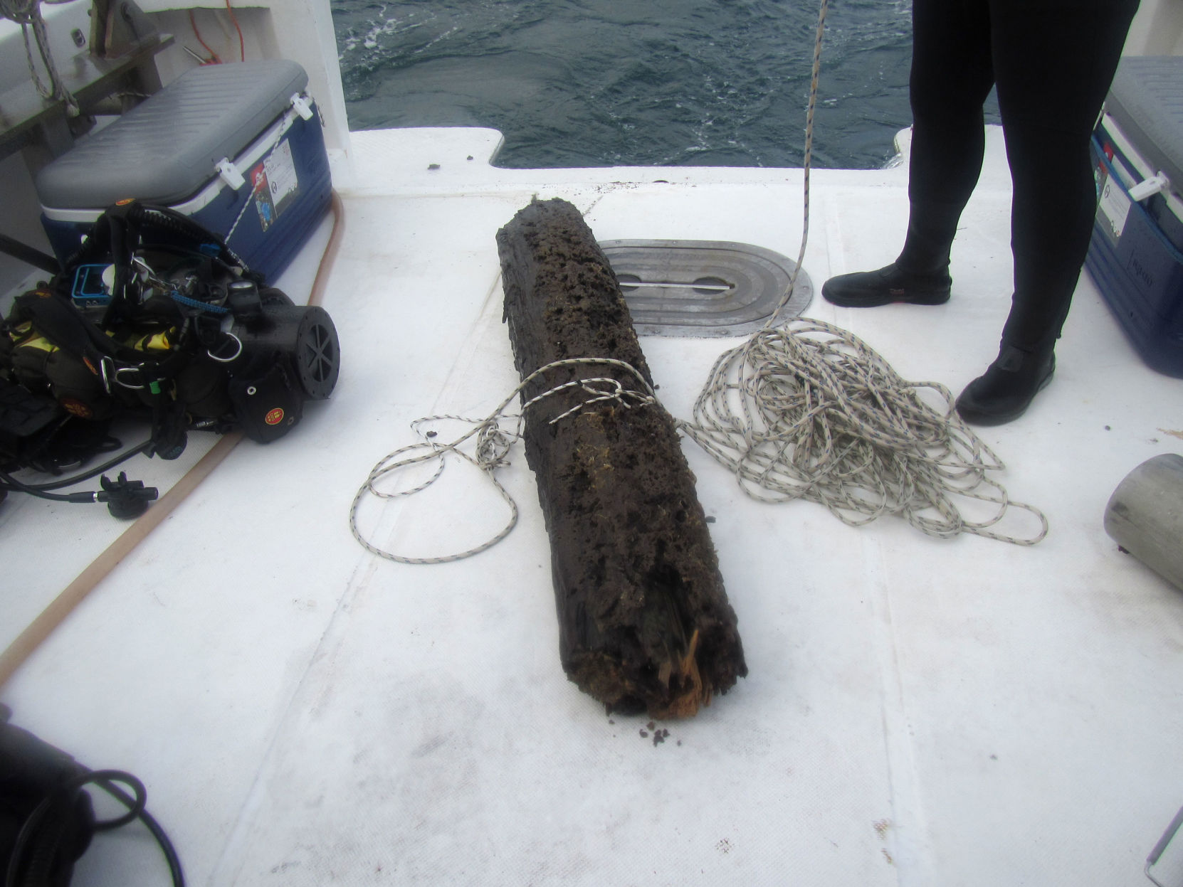 Ancient log